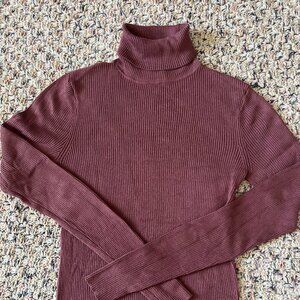 Express Size M Mauve Rayon/Nylon Long Sleeve Turtleneck